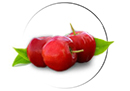 Acerola